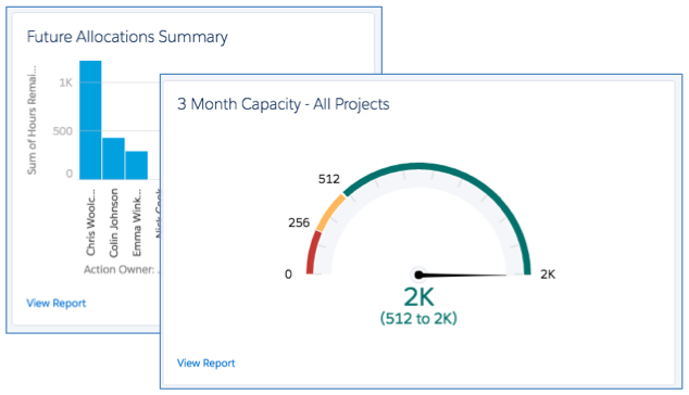 Professional Services Salesforce Project Management